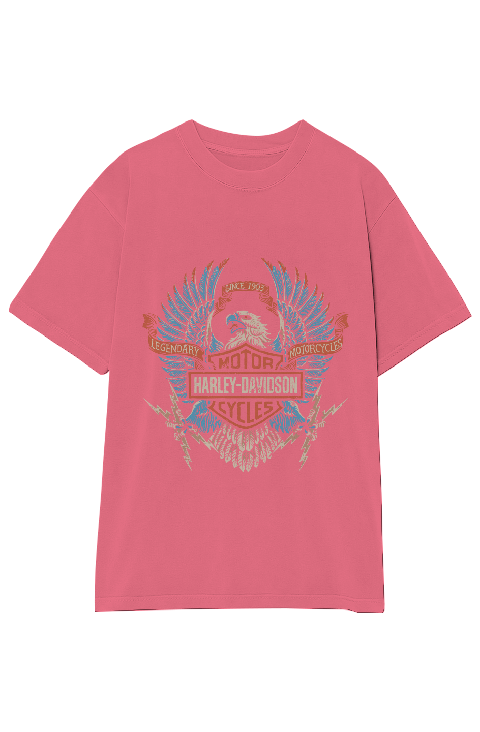 Harley Davidson Vintage Tee » New Arrivals » Vintage Heavyweight T