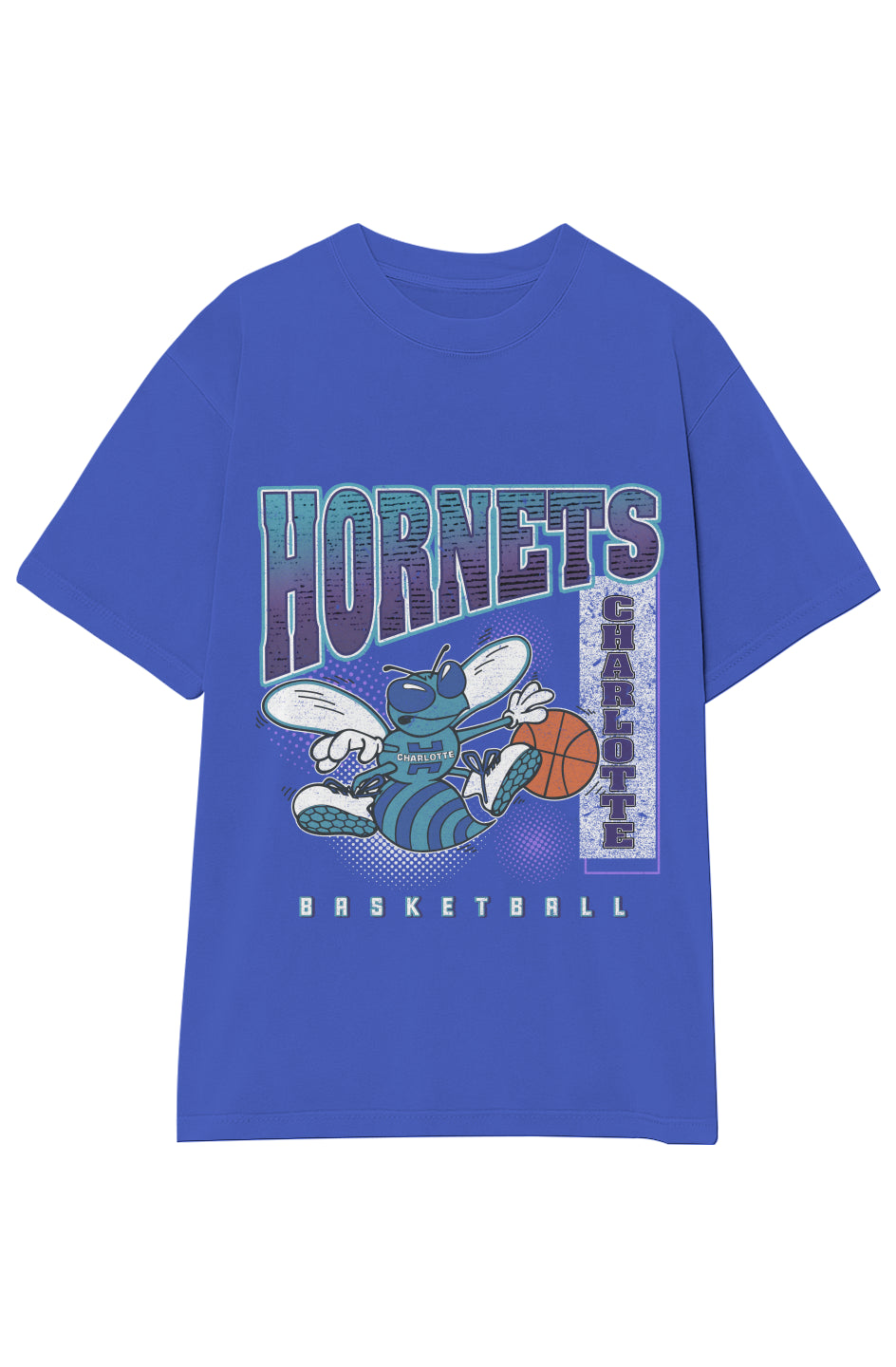 CHARLOTTE HORNETS VINTAGE TEE