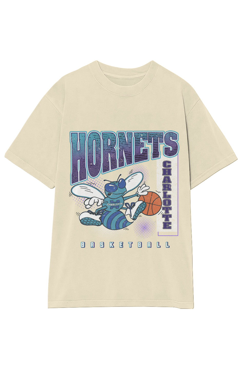 CHARLOTTE HORNETS VINTAGE TEE