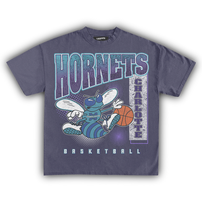 CHARLOTTE HORNETS VINTAGE TEE