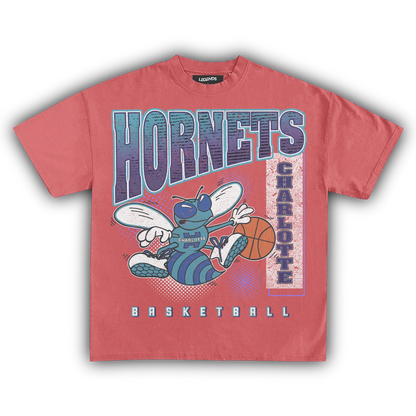 CHARLOTTE HORNETS VINTAGE TEE